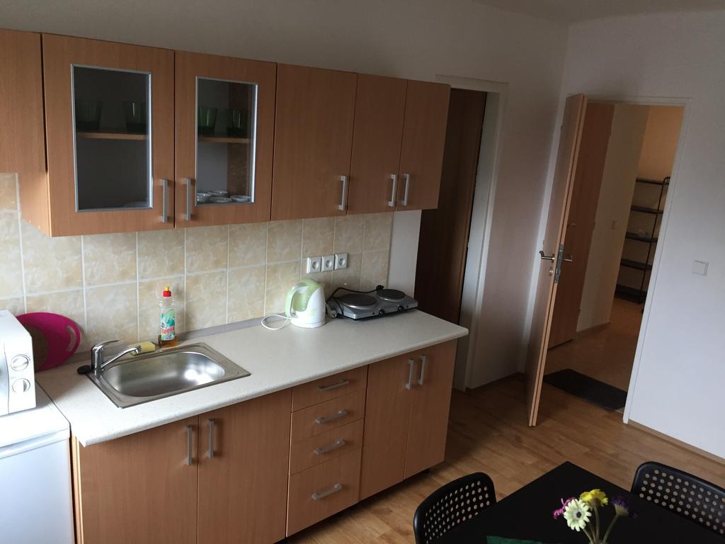 Apartment Viktorka