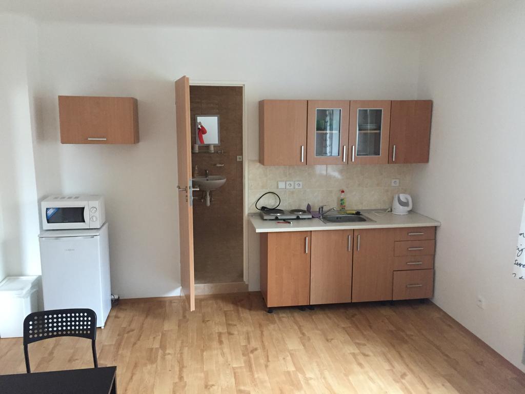 Apartment Viktorka